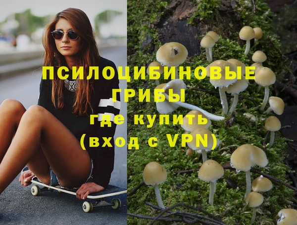 амф Снежногорск
