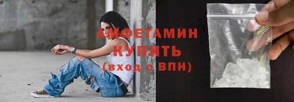 молекула духа Снежинск